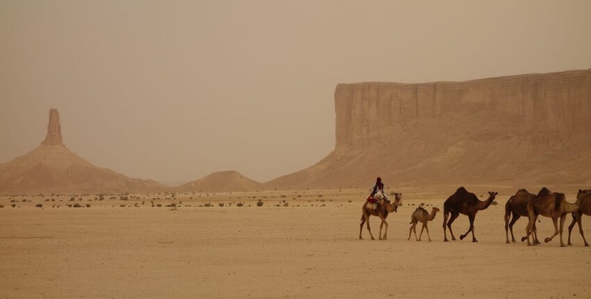 الرياض: استئجار طائرة خاصة 