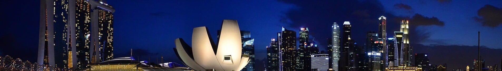 سنغافورة: استئجار طائرة خاصة 