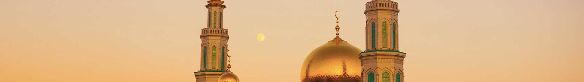 باريس - موسكو: استئجار طائرة خاصة