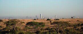 نيروبي: استئجار طائرة خاصة 