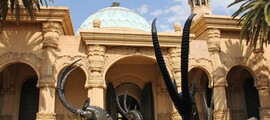 كيب تاون: استئجار طائرة خاصة 