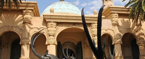 جوهانسبرغ: استئجار طائرة خاصة 