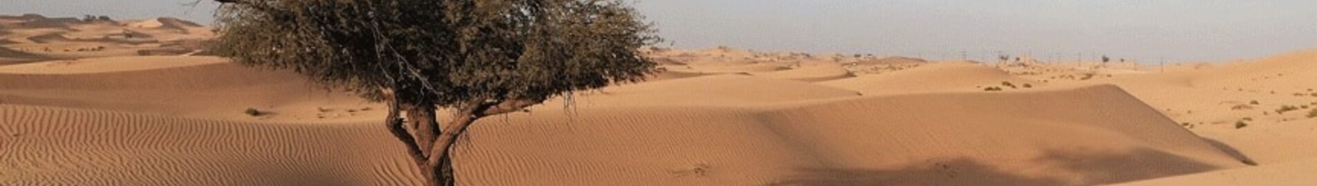 أبو ظبي: استئجار طائرة خاصة 