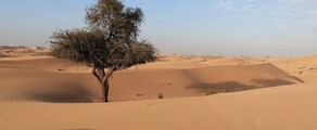أبو ظبي: استئجار طائرة خاصة 