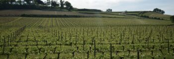Neuhardenberg Wriezen location de jet privé