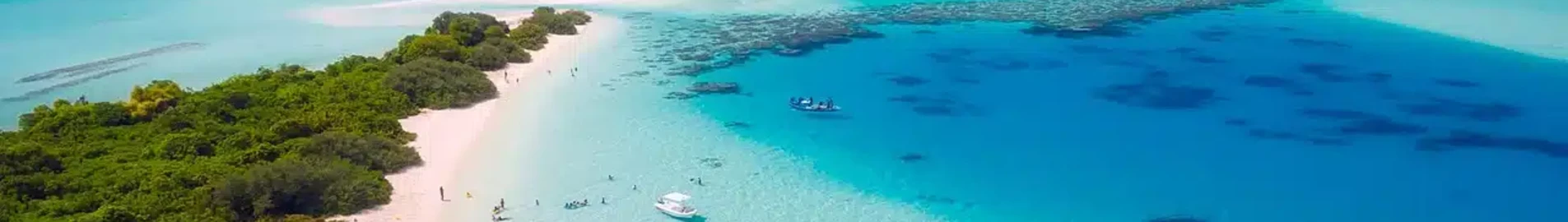 جزر المالديف: استئجار طائرة خاصة 