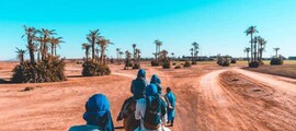 فاس: استئجار طائرة خاصة 