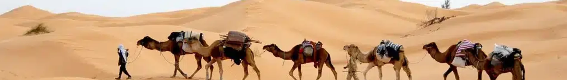 تونس: استئجار طائرة خاصة