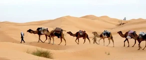 تونس: استئجار طائرة خاصة