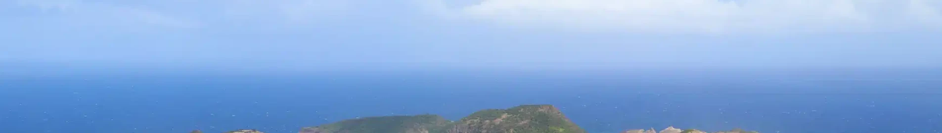 غواديلوب: استئجار طائرة خاصة 