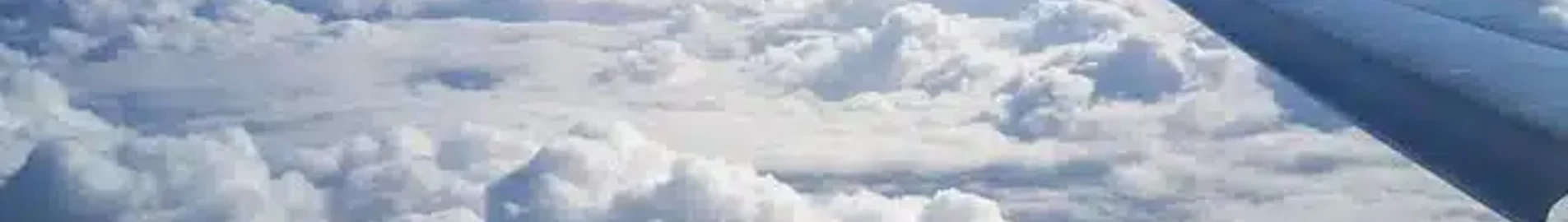إكسيكوجيت: شركة طيران