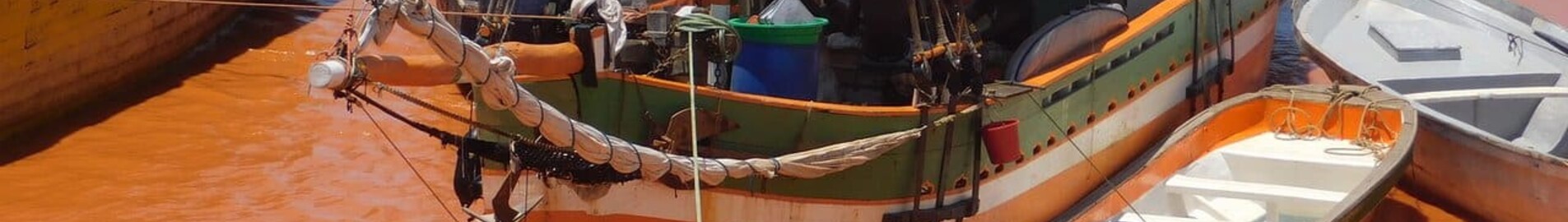 بيسالامبي: استئجار طائرة خاصة 