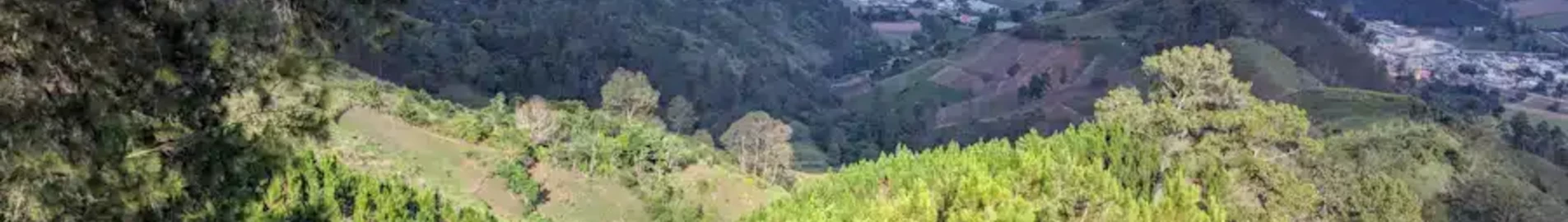 كونستانزا: استئجار طائرة خاصة