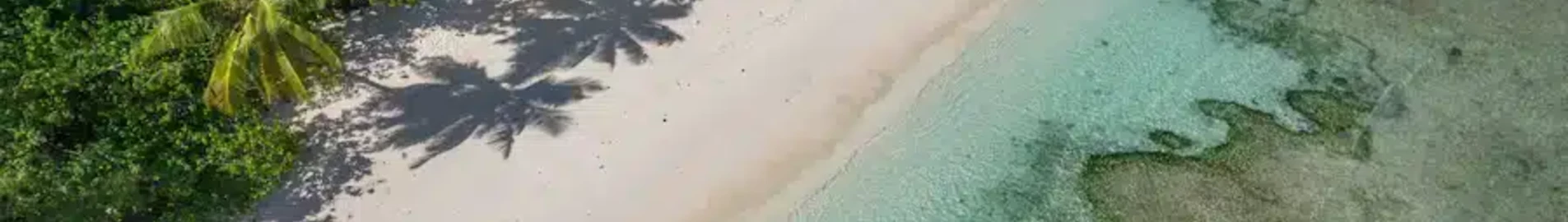 ديسروش: استئجار طائرة خاصة