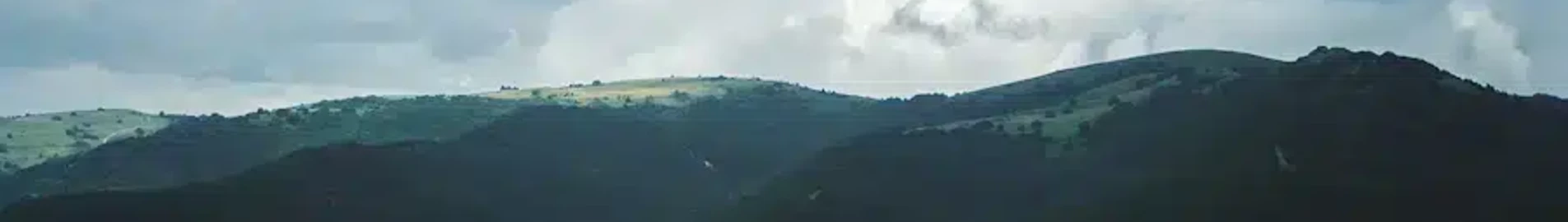 جيليندجيك: استئجار طائرة خاصة