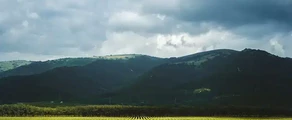 جيليندجيك: استئجار طائرة خاصة