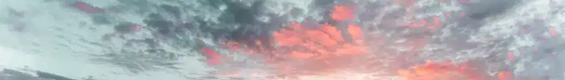 هالمستاد: استئجار طائرة خاصة