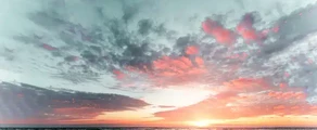 هالمستاد: استئجار طائرة خاصة