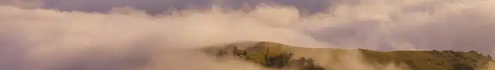 كوسوفو: استئجار طائرة خاصة