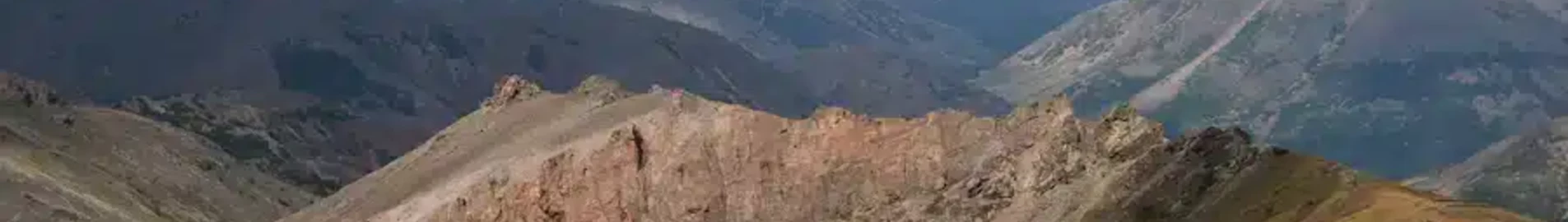 ماغادان سوكول: استئجار طائرة خاصة
