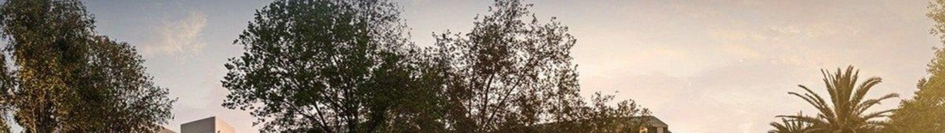 ماسلو: استئجار طائرة خاصة 