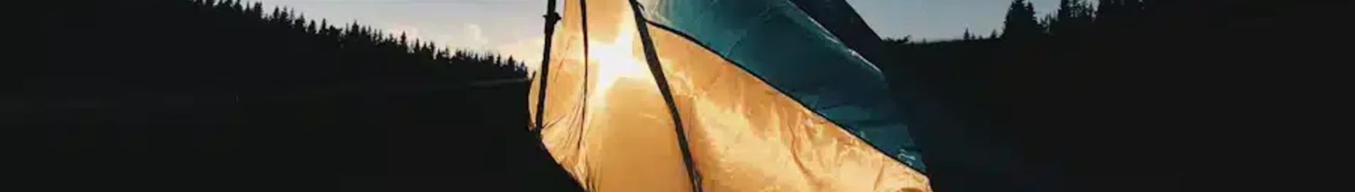 ميكولايف: استئجار طائرة خاصة