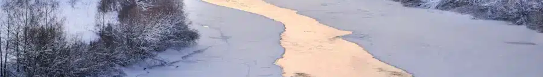 أورسك: استئجار طائرة خاصة