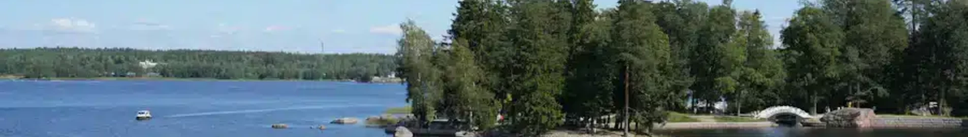 بلاتوف: استئجار طائرة خاصة
