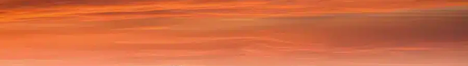 بوليارني: استئجار طائرة خاصة