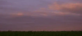 خميلنيتسكي: تأجير طائرة خاصة