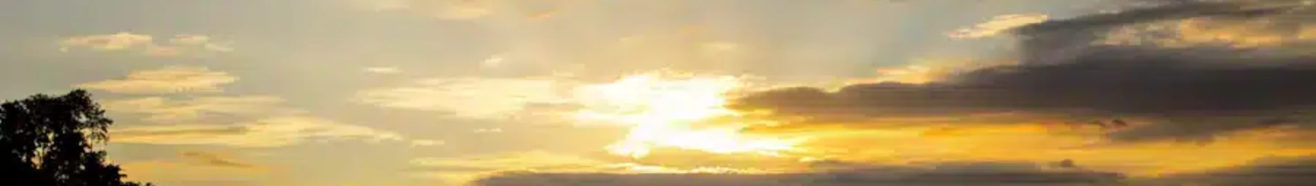 سامانا أرويو باريل: استئجار طائرة خاصة