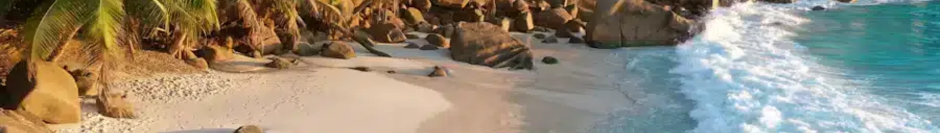 سيشيل: تأجير طائرة خاصة