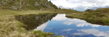 Sveg : location de jet privé