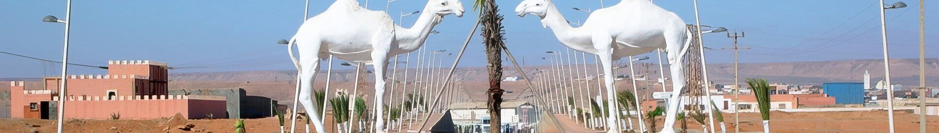تان تان: استئجار طائرة خاصة 