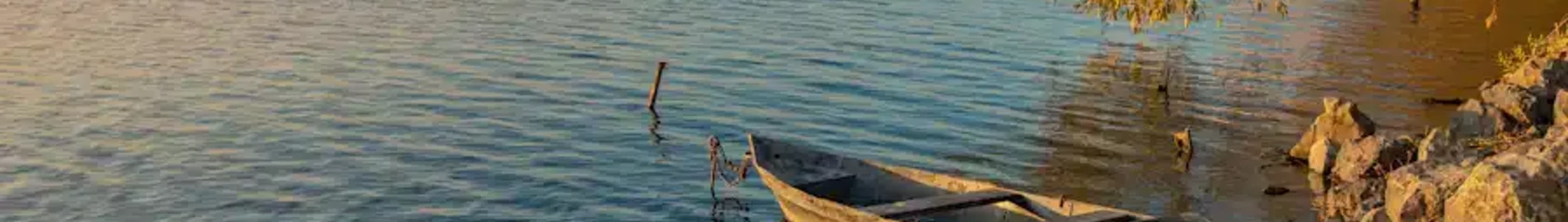 ترنوبل: استئجار طائرة خاصة