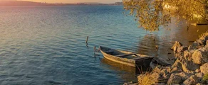 ترنوبل: استئجار طائرة خاصة