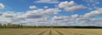 Odessa : location de jet privé