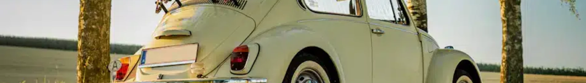 ويلز: استئجار طائرة خاصة
