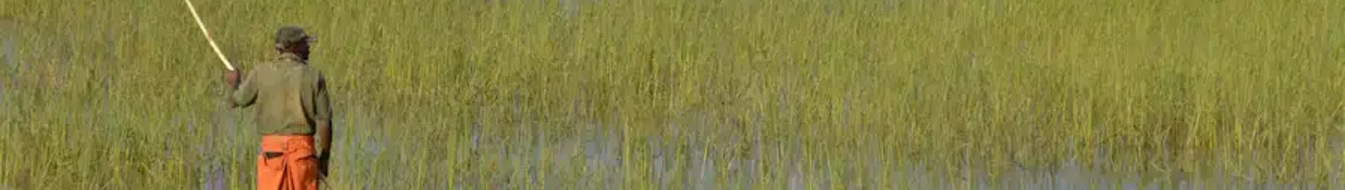 لوزامبا: استئجار طائرة خاصة