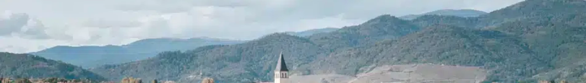 القطع