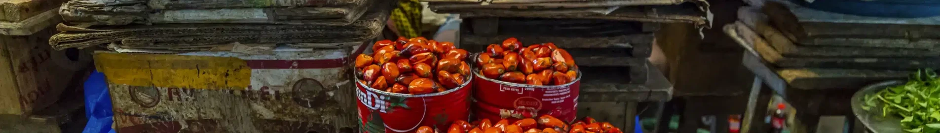 كورهوغو: استئجار طائرة خاصة