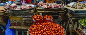 كورهوغو: استئجار طائرة خاصة