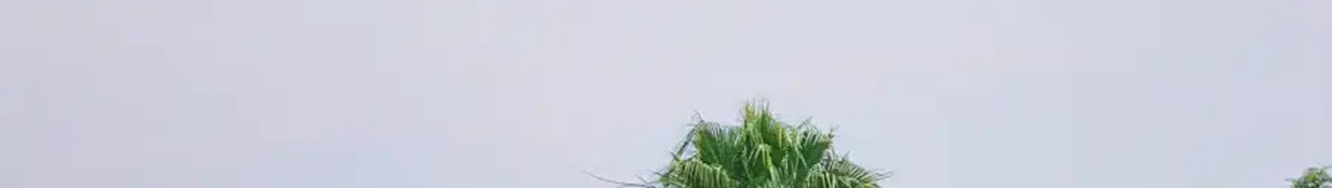 بوتا زيغا: تأجير طائرة خاصة