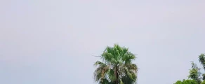 بوتا زيغا: تأجير طائرة خاصة