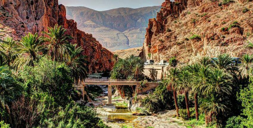 تأجير طائرة خاصة الجزائر