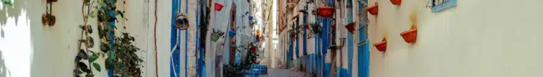 عنابة: استئجار طائرة خاصة