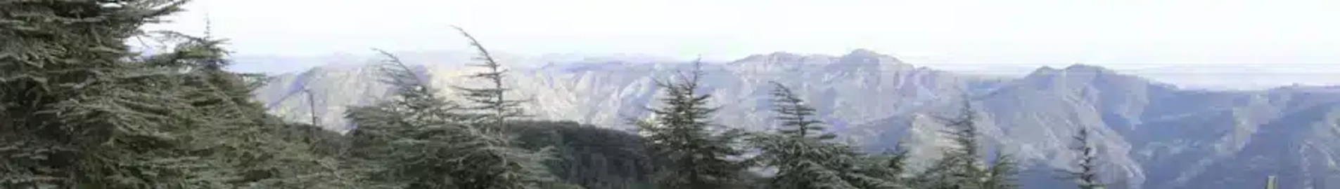 البليدة: استئجار طائرة خاصة