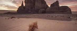 استئجار طائرة خاصة في الجزائر