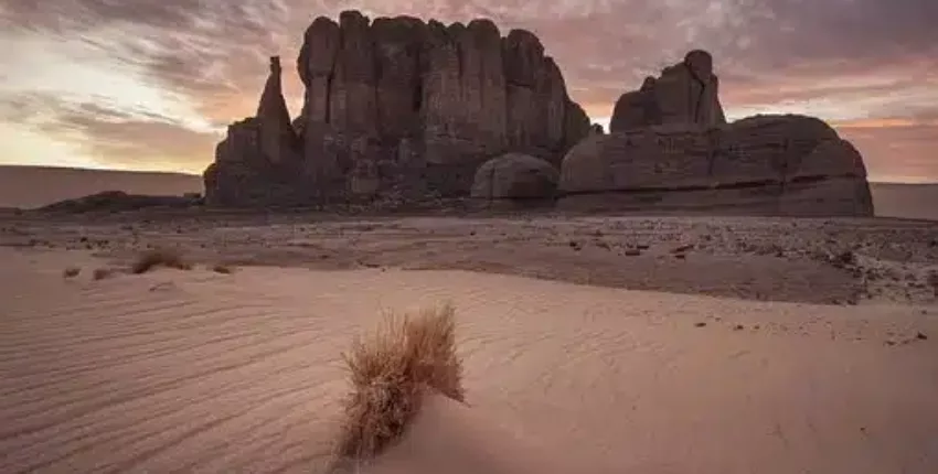 تأجير طائرة خاصة الجزائر