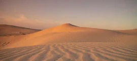 استئجار طائرة خاصة من سطيف